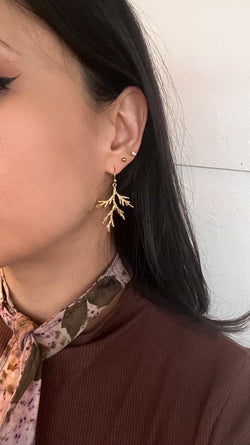 Cedar brass cast earrings